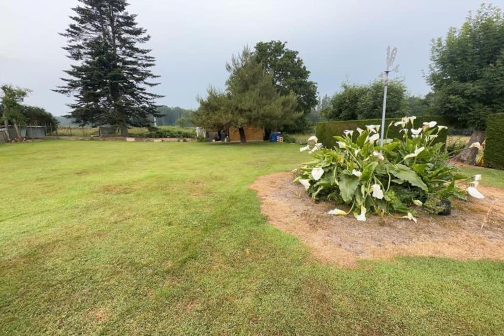 Plourhan Binic Maison De Campagneヴィラ エクステリア 写真